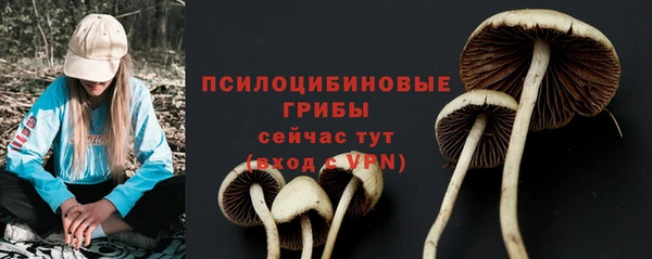 трава Иннополис