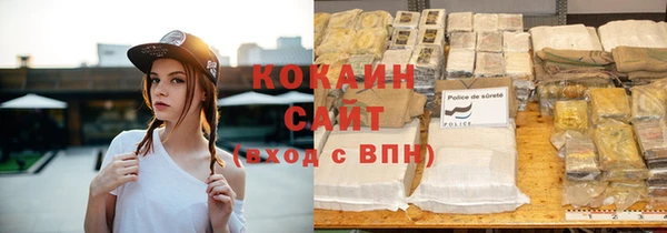 мет Инта