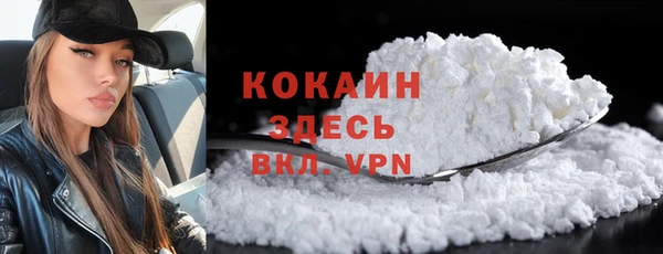 дурь Инсар