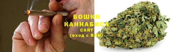 дурь Инсар