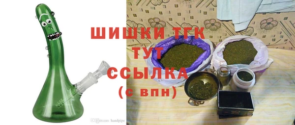 мет Инта