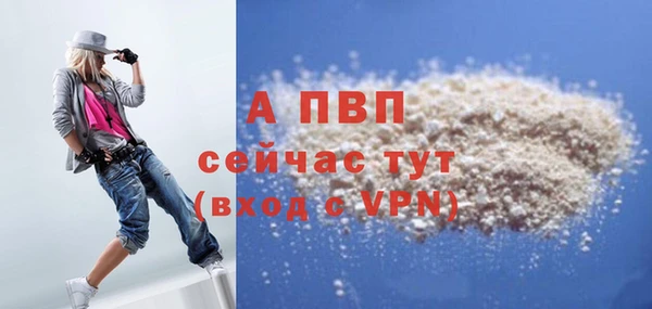 дурь Инсар