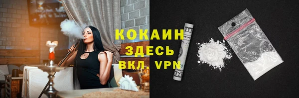 мет Инта