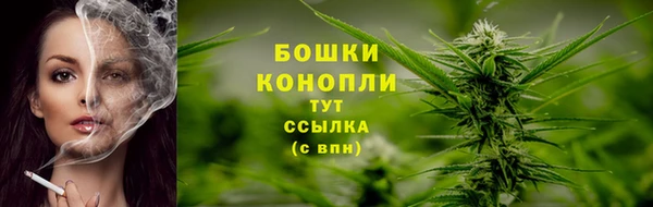 трава Иннополис
