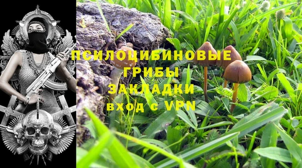 трава Иннополис