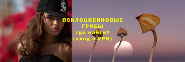 дурь Инсар