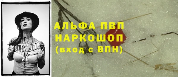 дурь Инсар
