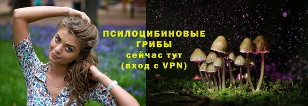 дурь Инсар