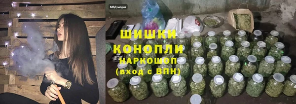 дурь Инсар