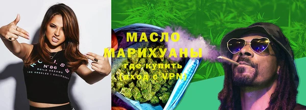 мет Инта